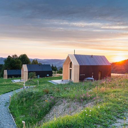 Domy Wypoczynkowe W Beskidach - Odpoczywaj W Naturze Laskowa  Exterior photo